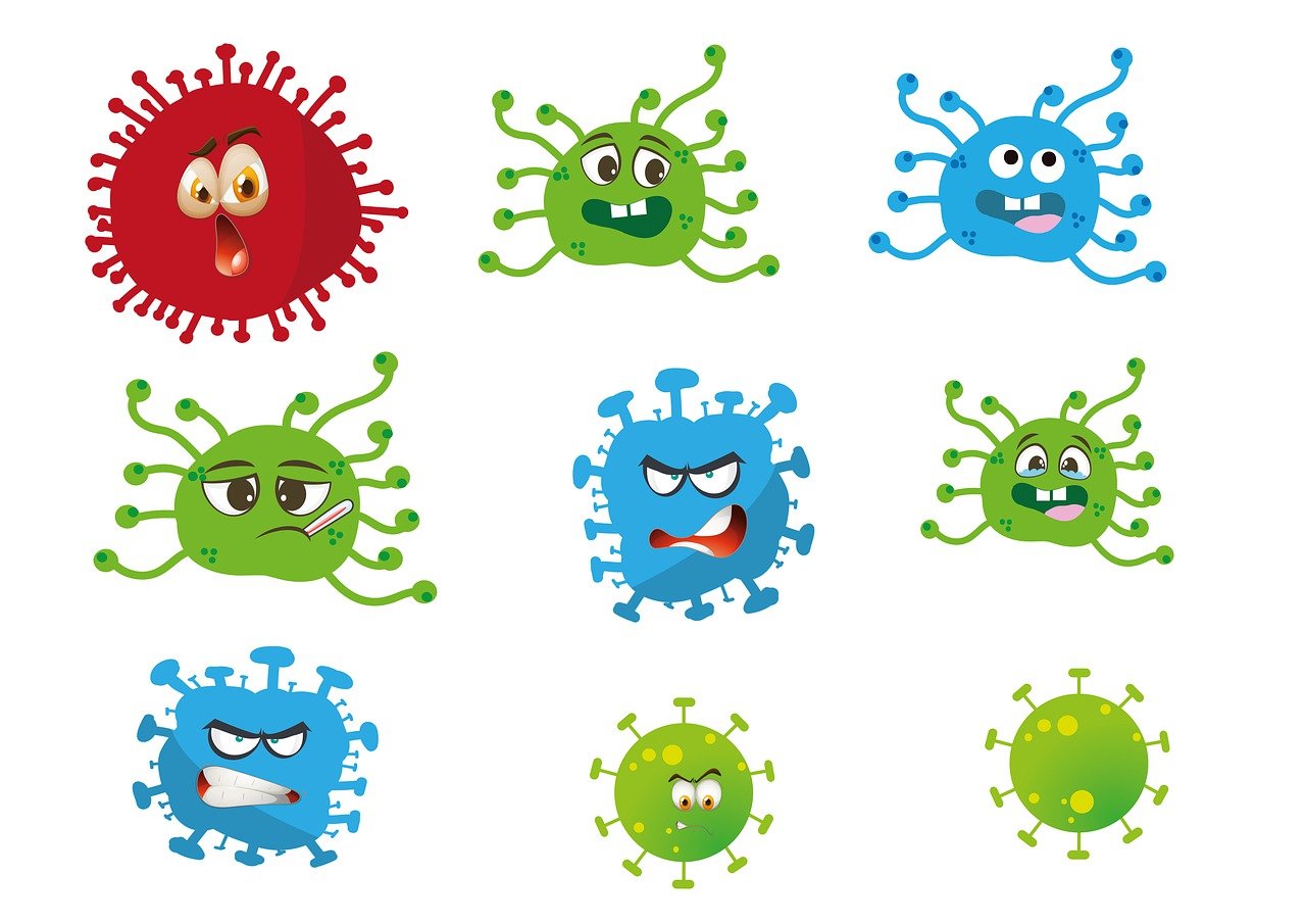 erfahren sie, wie das immunsystem funktioniert, was es stärkt und wie sie ihre abwehrkräfte auf natürliche weise unterstützen können. tipps, fakten und aktuelle informationen rund um das immunsystem.
