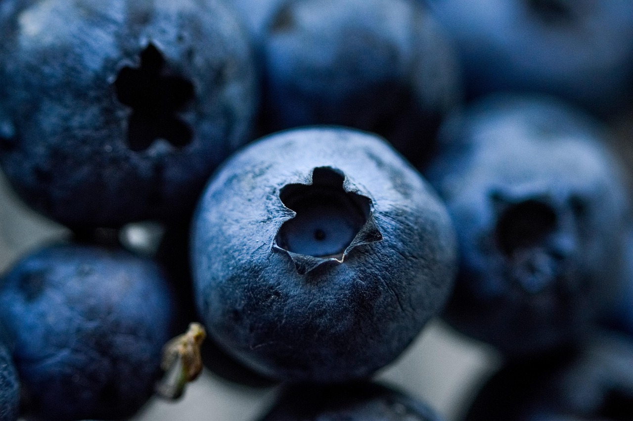 entdecken sie die welt der superfoods: gesunde, nährstoffreiche lebensmittel für mehr energie, wohlbefinden und vitalität. erfahren sie alles über vorteile, anwendung und leckere rezepte mit superfoods.