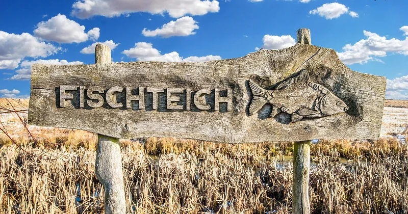 Die besten lateinischen Sprüche mit Bedeutung