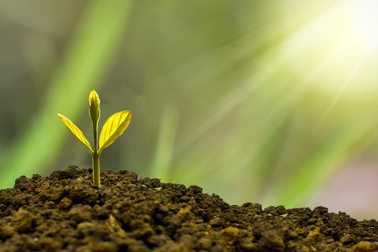 entdecken sie die besten anlagemöglichkeiten, um ihr vermögen zu vermehren. von aktien über immobilien bis hin zu innovativen startups – erfahren sie, wie sie intelligent investieren und ihre finanziellen ziele erreichen können.