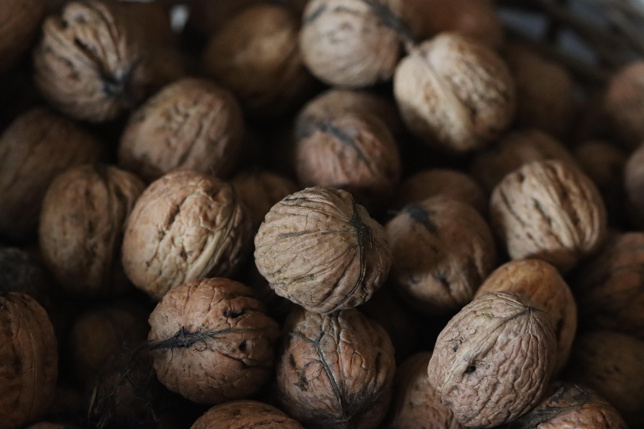 entdecken sie die welt der superfoods! erfahren sie, wie nährstoffreiche lebensmittel wie chiasamen, goji-beeren und quinoa ihre gesundheit fördern und ihre ernährung auf das nächste level bringen können.